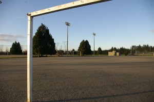 The gravel fields at Newton Athletic Park (NAP) could be the future home of Kwantlen's very own turf field. NAP is about two minutes away from the Surrey campus.